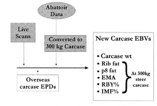 Abattoir data flow chart