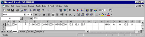 Excel spreadsheet