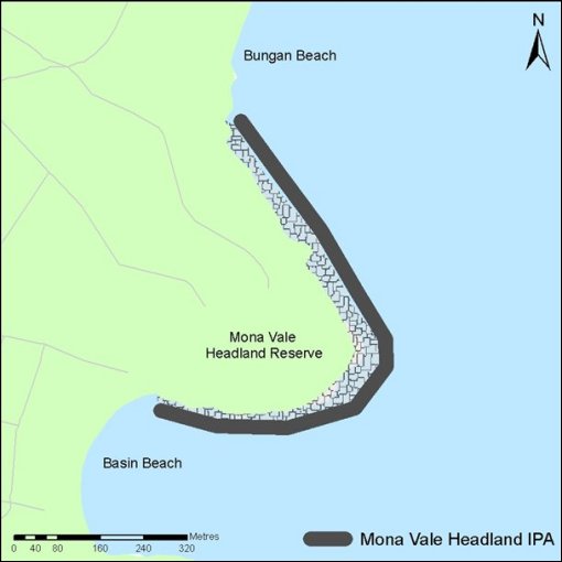 Mona Vale
