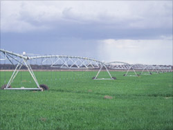 Photo of an overhead irrigation system