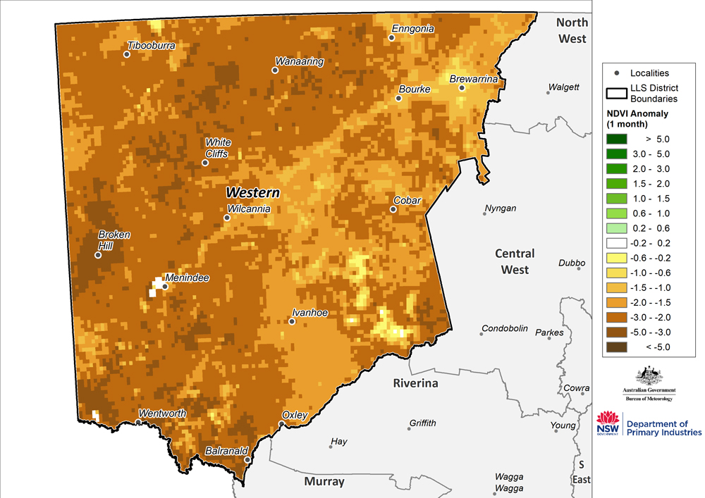 Figure 19. Monthly NDVI anomaly map for the Western Region For an accessible explanation of this image contact the author kim.braodfoot@dpi.nsw.gov.au