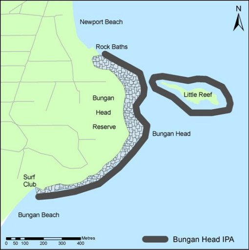 Bungan
