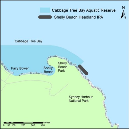 Shelley Beach