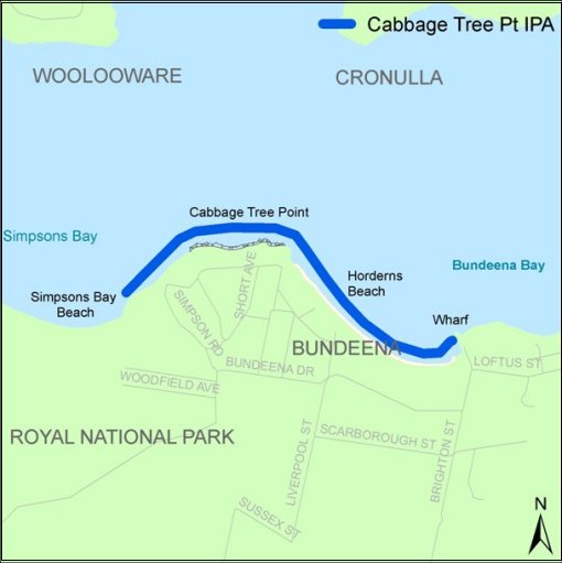 Cabbage Tree Point