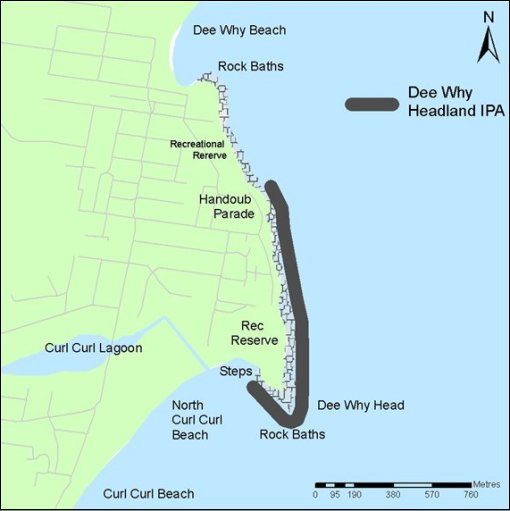 Dee Why Head